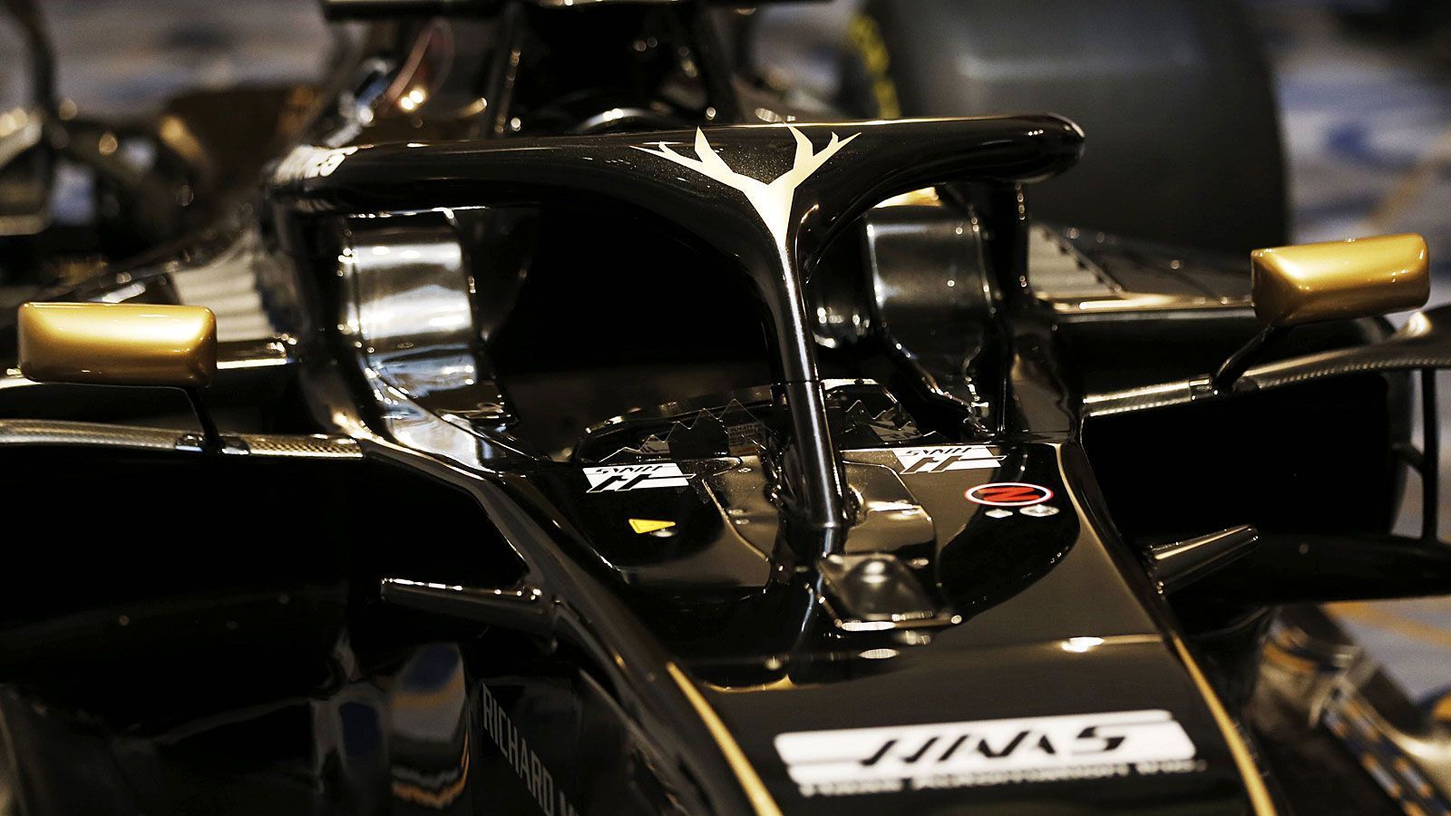 
                <strong>Formel-1-Autos 2019: Rich Energy Haas F1 Team</strong><br>
                Unter dem Heck schlummert auch 2019 ein Ferrari-Motor. Auf Altbewährtes setzt das Team auch bei der Fahrerpaarung: Der Däne Kevin Magnussen und Romain Grosjean aus Frankreich bilden im dritten Jahr nacheinander das Gespann.
              