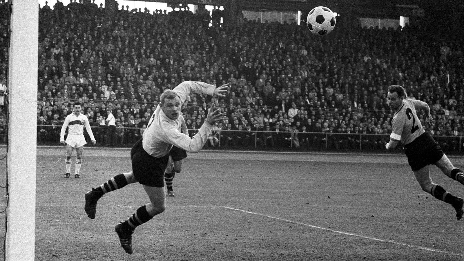 
                <strong>Bernhard Wessel (1961 - 1969)</strong><br>
                &#x2022; Spiele: 104 - <br>&#x2022; Gegentore: 164 -<br>&#x2022; Gegentore pro Spiel: 1,58 -<br>&#x2022; Zu Null: 23 -<br>&#x2022; Titel: Pokalsieger 1965, Europokal der Pokalsieger 1966<br>
              