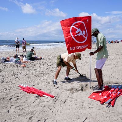 Nach einer Haiattacke werden am New Yorker Strand von Rockaway Warnhinweise aufgestellt.