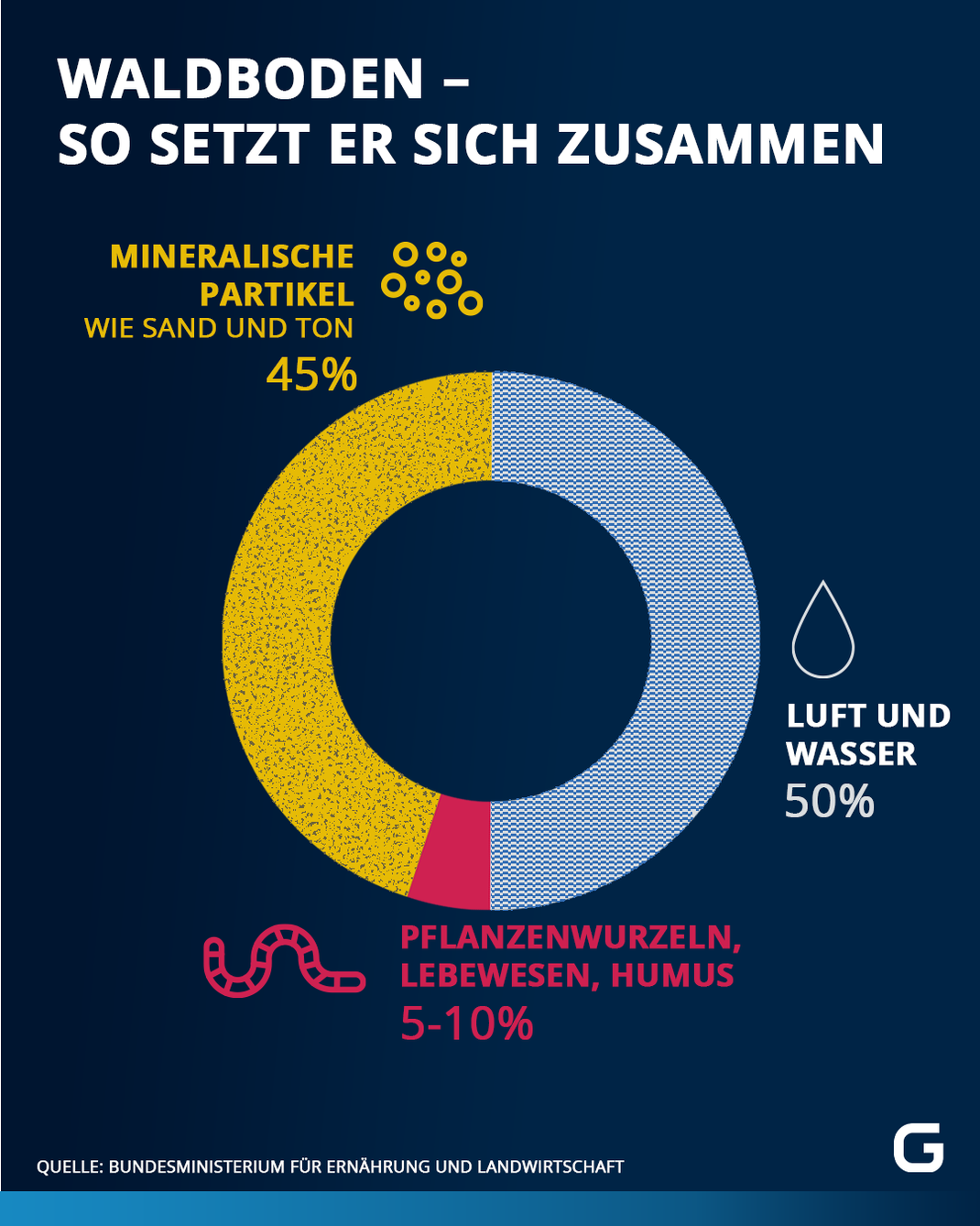 So ist die Zusammensetzung des Waldbodens 