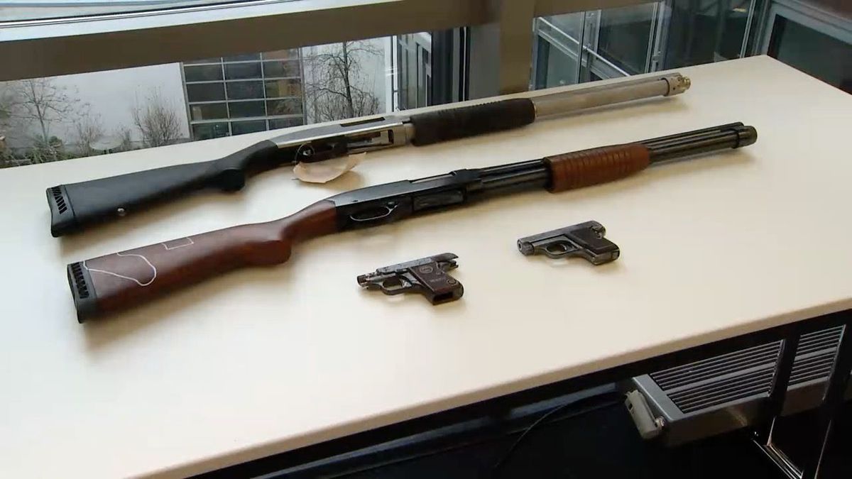 Gefundene Waffen nach Razzia