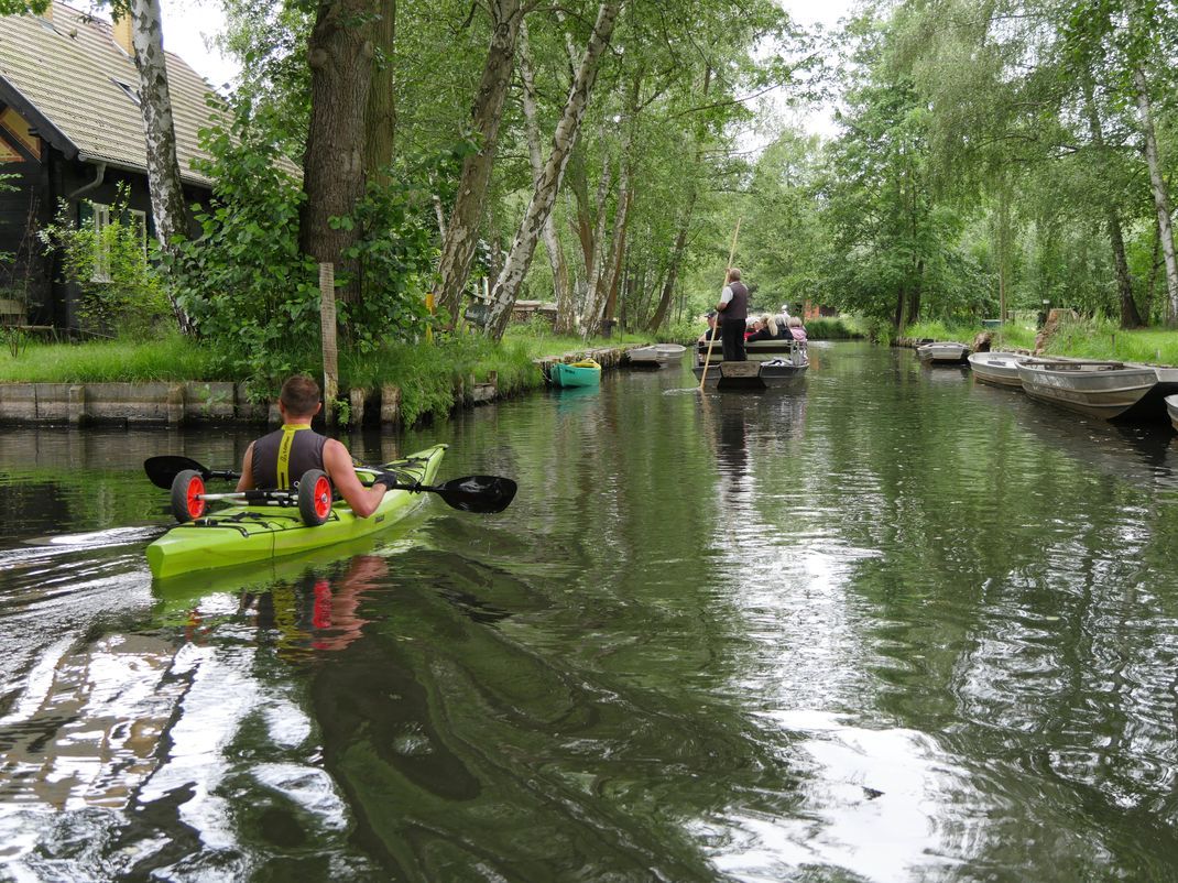 Hier im Spreewald sollen die Männer einen Hitlergruß gezeigt haben. (Symbolbild)