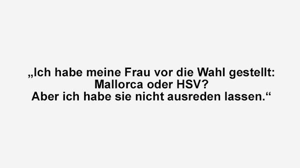 
                <strong>Im Finale: Bruno Labbadia</strong><br>
                Im Finale: Bruno Labbadia.
              