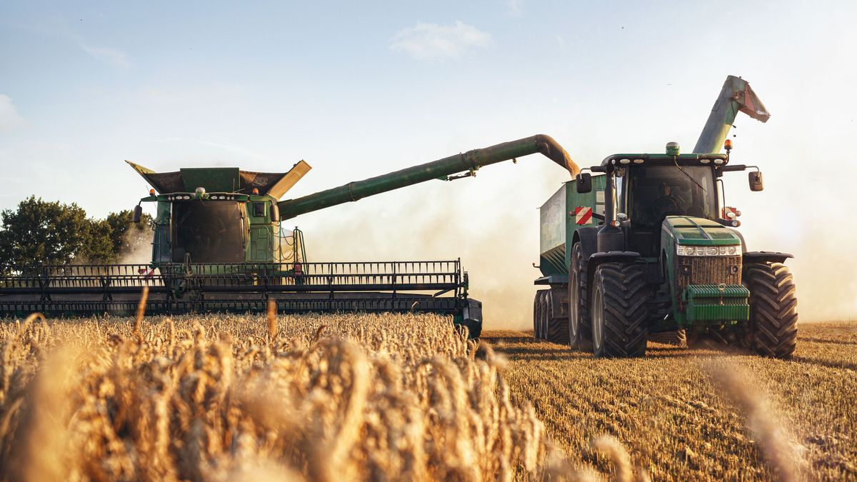 Das Ende des Getreideabkommens zwischen der Ukraine und Russland könnte zu einer globalen Ernährungskrise führen.