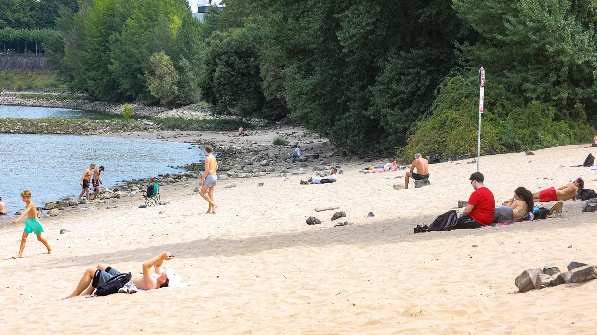 Düsseldorf: Menschen sitzen am Paradiesstrand am Rhein. In der nordrhein-westfälischen Landeshauptstadt gilt ab heute ein Badeverbot im Rhein.