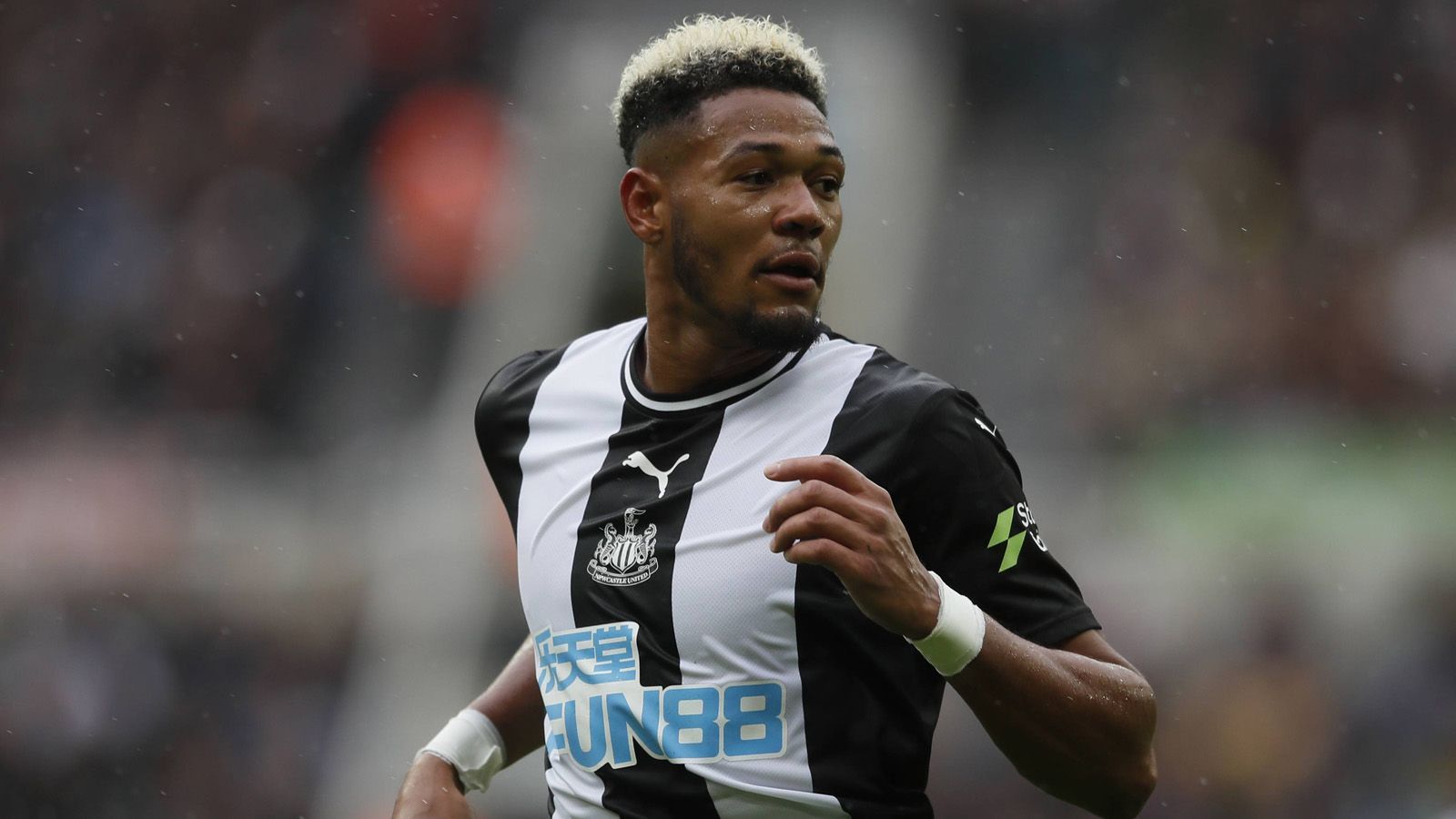 
                <strong>Joelinton (Newcastle United, Premier League) </strong><br>
                Im Sommer vergoldete der Brasilianer mit seinem Wechsel das Konto der TSG Hoffenheim. 44 Millionen Euro überwies Newcastle United in den Kraichgau und machte Joelinton damit zum Rekordverkauf der Hoffenheimer. Zwar ist er bei seinem neuen Arbeitgeber gesetzt und kam in sieben Premier League-Spielen zum Einsatz, allerdings traf der 23-Jährige bislang erst einmal und steht mit den "Magpies" auf dem vorletzten Tabellenplatz.
              