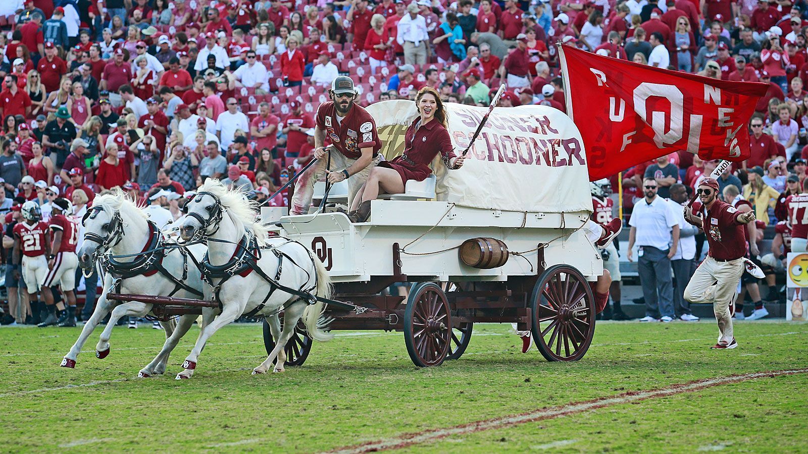 
                <strong>Boomer and Sooner (Oklahoma Sooners)</strong><br>
                Bei Boomer und Sooner handelt es sich um weiße Ponies, die an der University of Oklahoma beheimatet sind. Das Duo zieht das eigentliche Aushängeschild des Colleges, den Planwagen "Sooner Schooner". Mit dem Gefährt soll an die Pioniere erinnert werden, die sich zum Ende des 19. Jahrhunderts im Indianer-Territorium ansiedelten. Schon 1964 wurde das Gespann eingeführt, 16 Jahre später zum offiziellen Maskottchen erkoren. Mittlerweile ist die fünfte Generation von Boomer und Sooner im Einsatz.
              