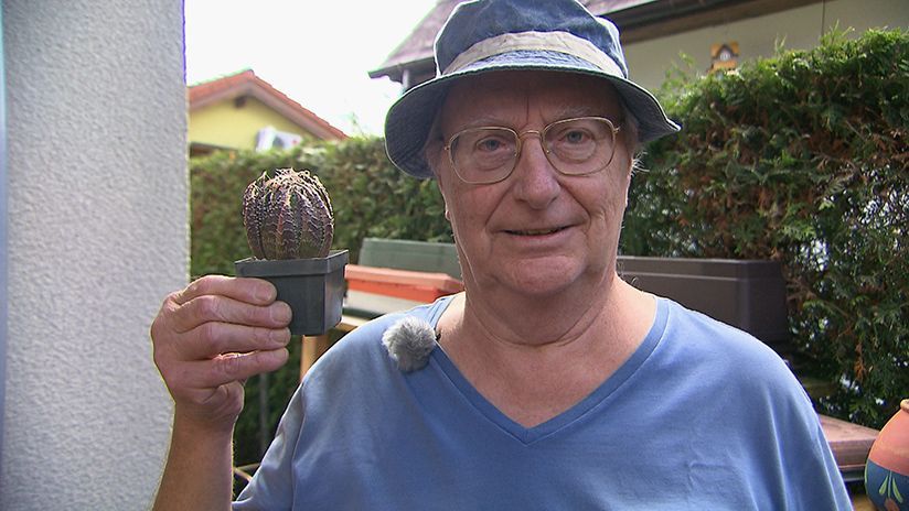 Im Kleingarten werden allerhand Pflanzen und Gemüse angebaut - von Salat über Blumen bis hin zu Kakteen.