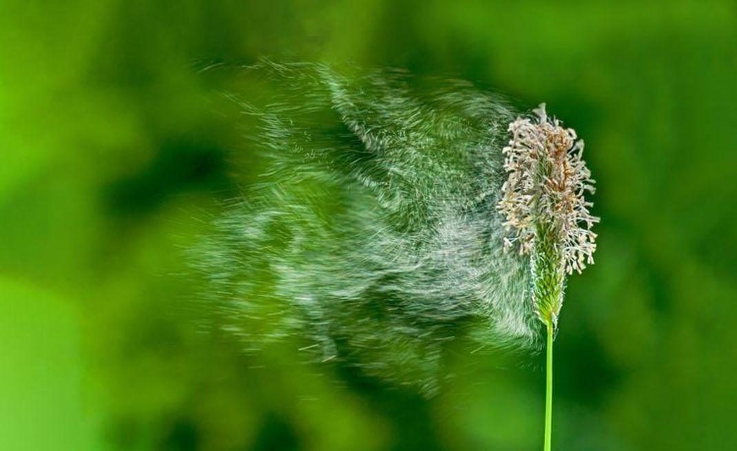 Spaß am Training trotz Allergie – Outdoor-Sport mit Heuschnupfen