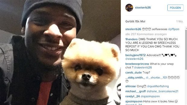 
                <strong>LeVeon Bell mit Jiffy</strong><br>
                Der Runningback der Pittsburgh Steelers, LeVeon Bell, posiert für ein Selfie mit dem berühmtesten Hund der Welt: Jiff.
              