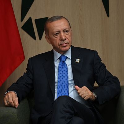 Der türkische Präsident Recep Tayyip Erdogan