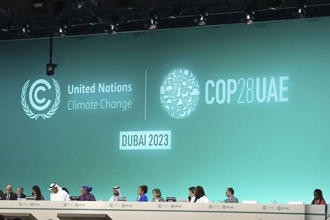 COP28: Dicke Überraschung zum Auftakt der Weltklimakonferenz