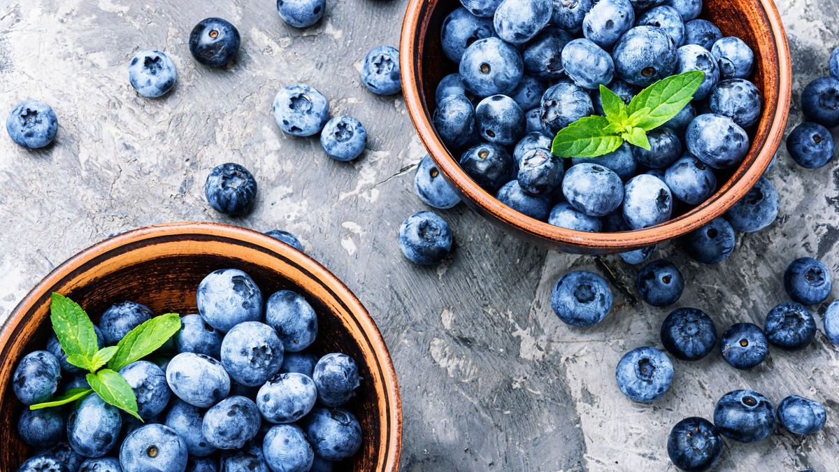 Berries blueberries or bilberry