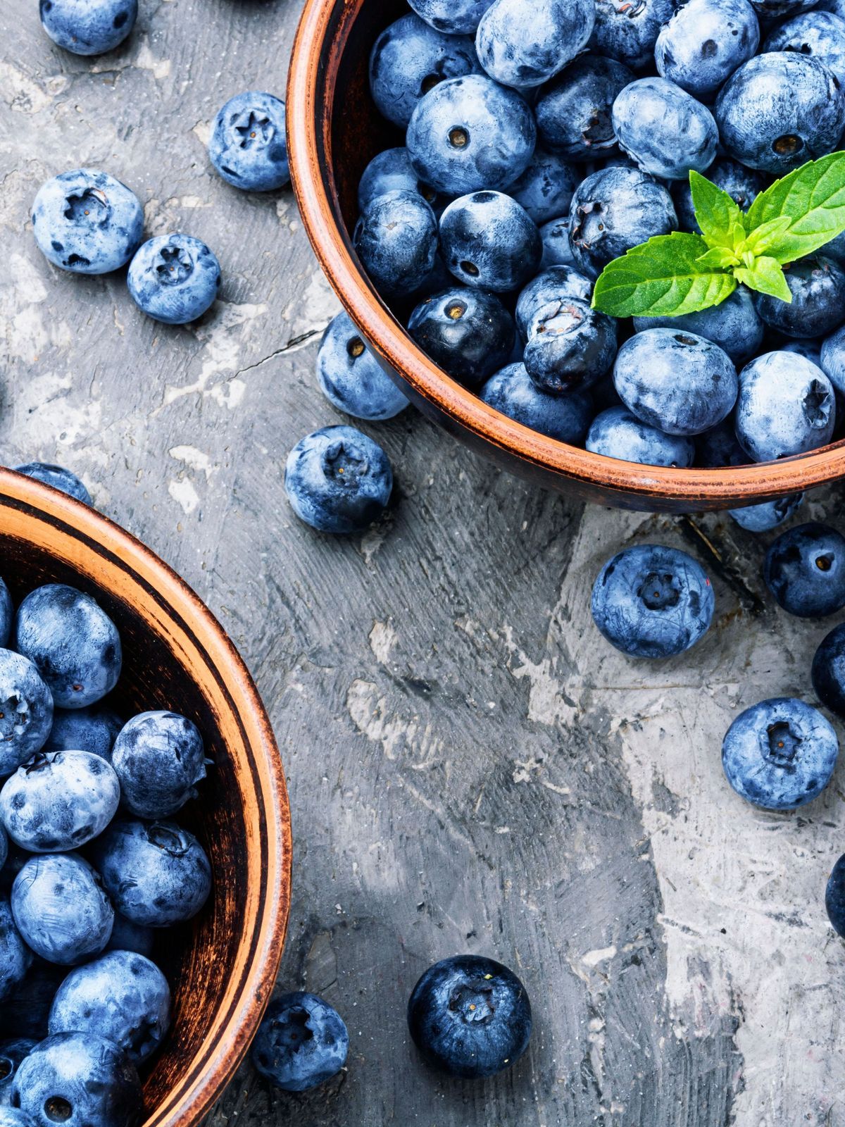 Berries blueberries or bilberry