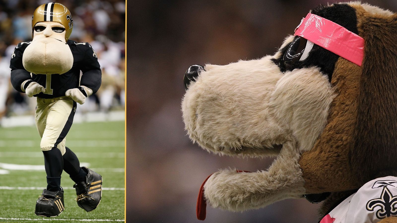 
                <strong>New Orleans Saints: Sir Saint und Gumbo</strong><br>
                Die Saints haben zwei Maskottchen. Zum einen den Hund Gumbo, der nach einem für New Orleans typischen, kreolischen Gericht benannt ist. Und Sir Saint, der vor allem durch seine markante Kinnpartie auffällt.
              