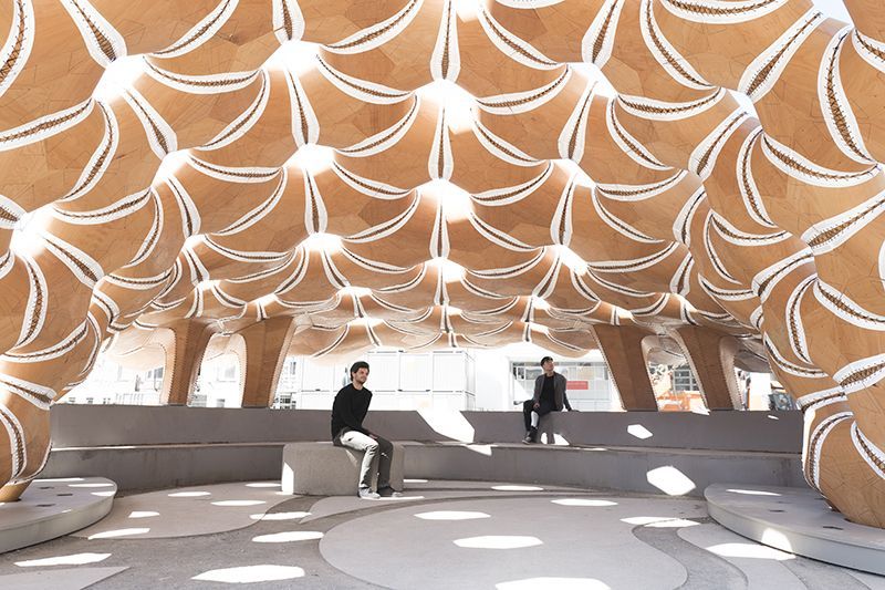 Seeigel inspirierten Forscher und Studierende in Stuttgart zum Bau dieses Pavillons.