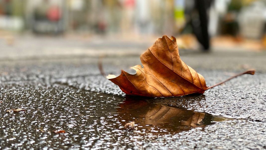 Herbstliches Wetter in Düsseldorf