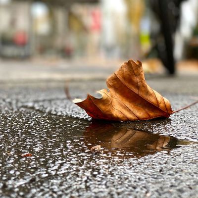 Herbstliches Wetter in Düsseldorf