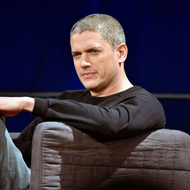 Wentworth Miller Image