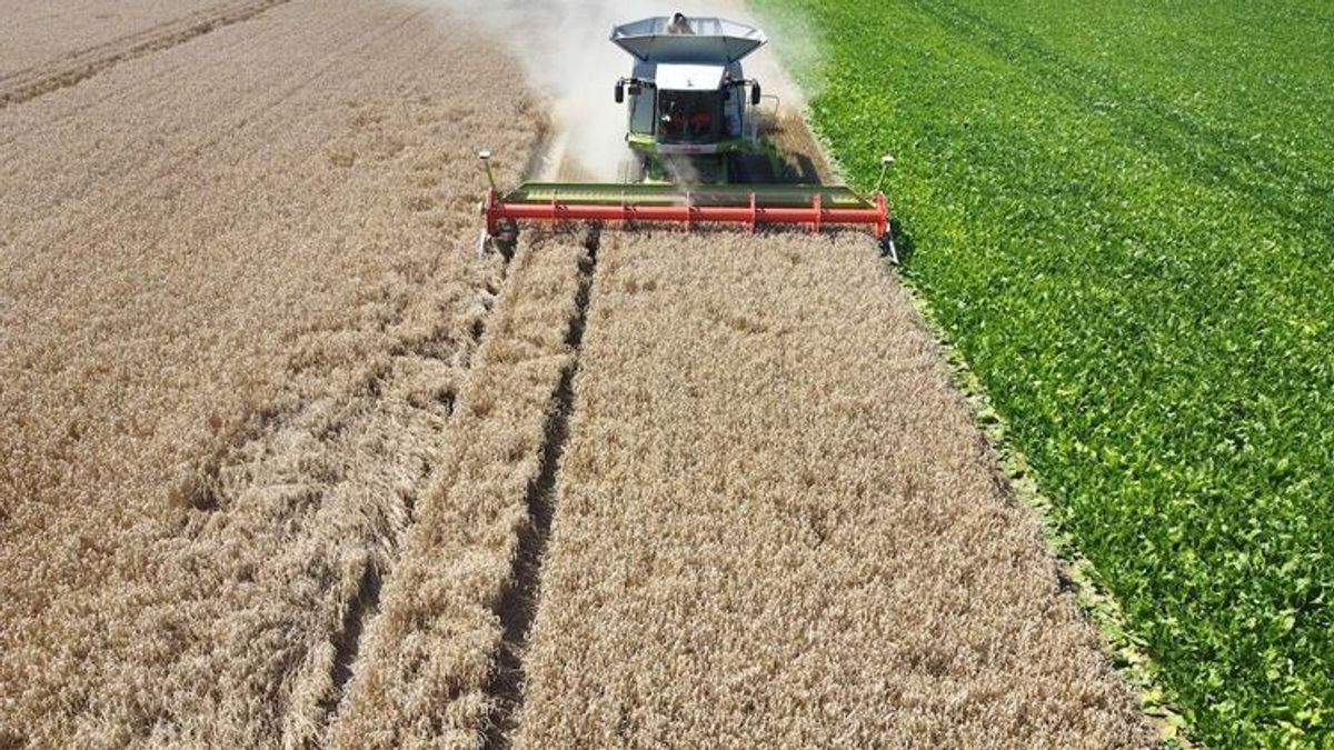 Gut essen und trinken: So schützt ihr euch und die Umwelt