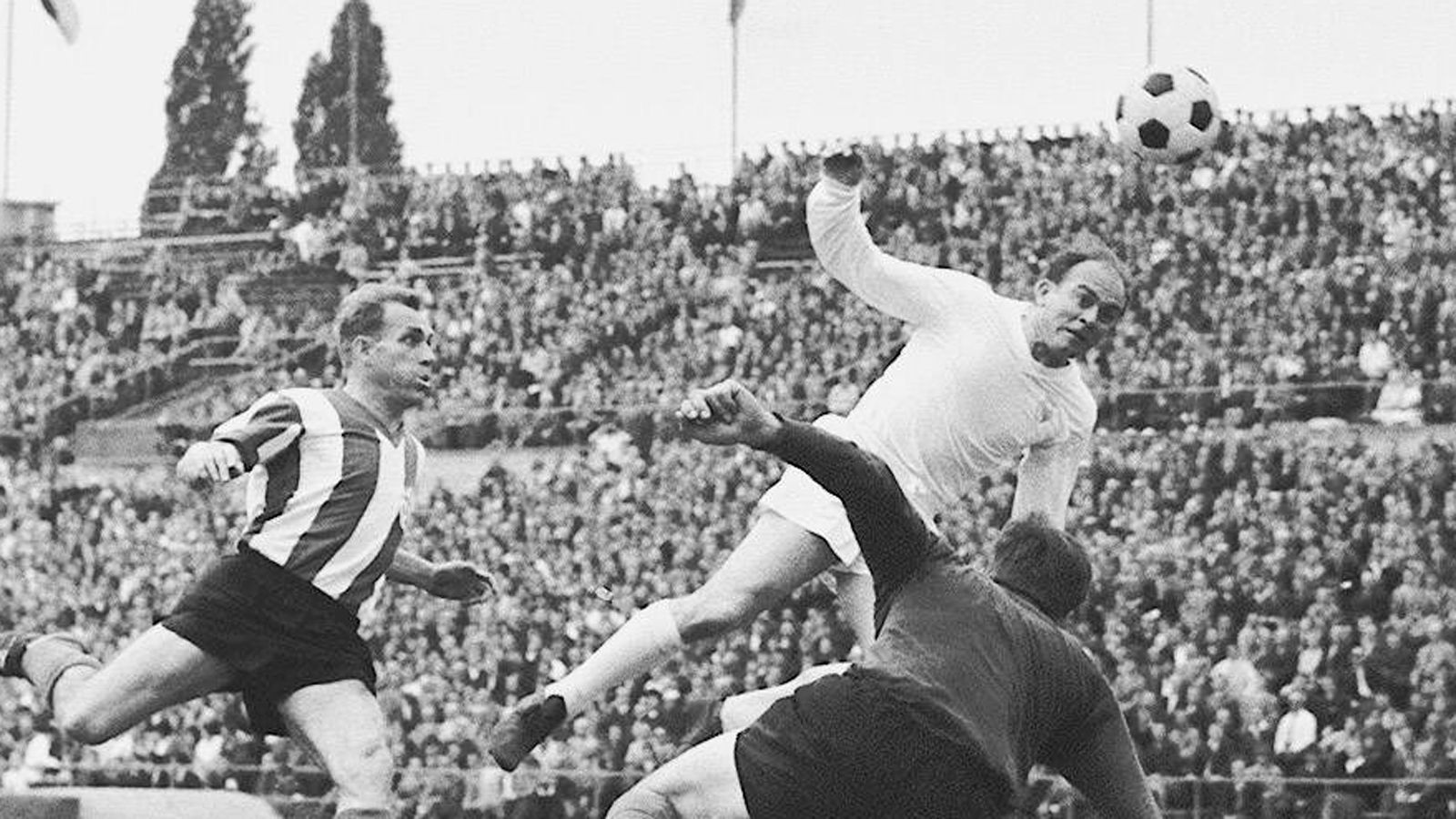 
                <strong>Alfredo di Stefano</strong><br>
                Der Argentinier war der Kopf des legendären weißes Balletts, gewann zwischen 1954 und 1964 mit Real achtmal die Meisterschaft und von 1956 bis 1960 fünfmal in Serie den Europapokal der Landesmeister.
              