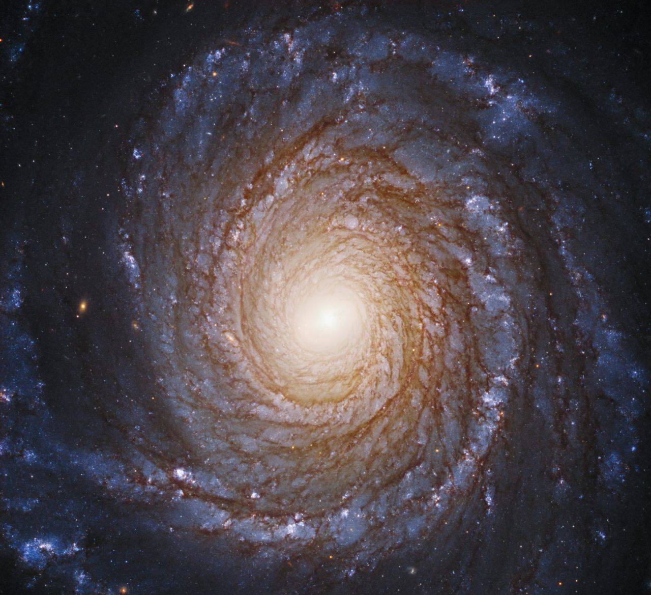 Diese Galaxie heißt NGC3147 und ist 130 Millionen Lichtjahre von der Erde entfernt. Sie erinnert stark an unsere Galaxie. Die Spiralform lässt darauf schließen, dass sich in der Mitte der Galaxie ein schwarzes Loch befindet, dass langsam alle Planeten und Sterne verschlingt.