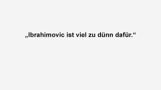 
                <strong>Tim Wiese</strong><br>
                Wiese auf die Frage, ob er sich Zlatan Ibrahimovic als Wrestler vorstellen könnte. 
              