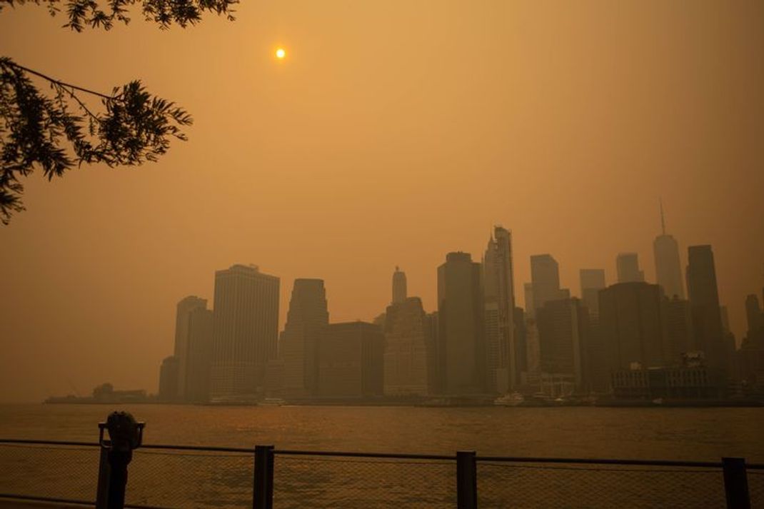New York oder der Mars? „Müssen Frieden mit der Natur schließen“
