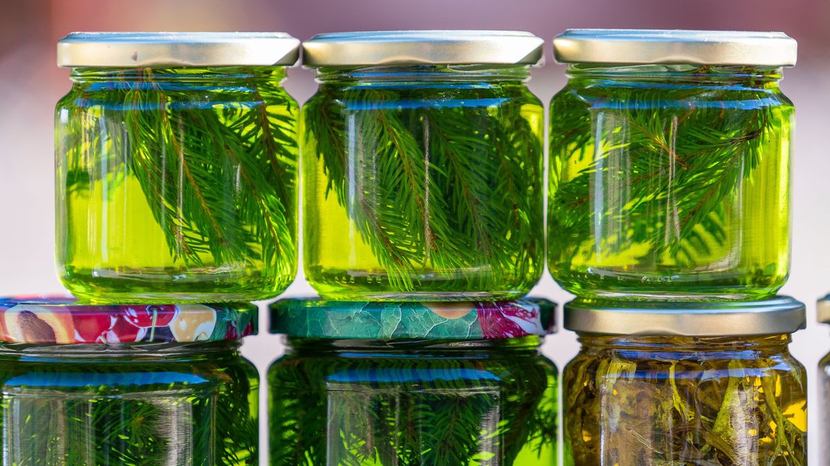 Jars of honey with green spruce needles and forest herbs stand on a street market in a row. Close up glass jars with flavoured honey. Ukraine