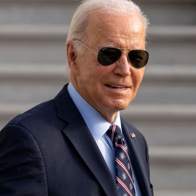 Joe Biden, Präsident der USA