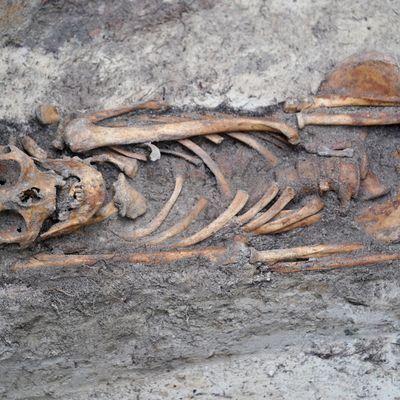 Auf einem Friedhof in Polen wurden die Überreste eines Kindes aus dem 17. Jahrhundert entdeckt. 