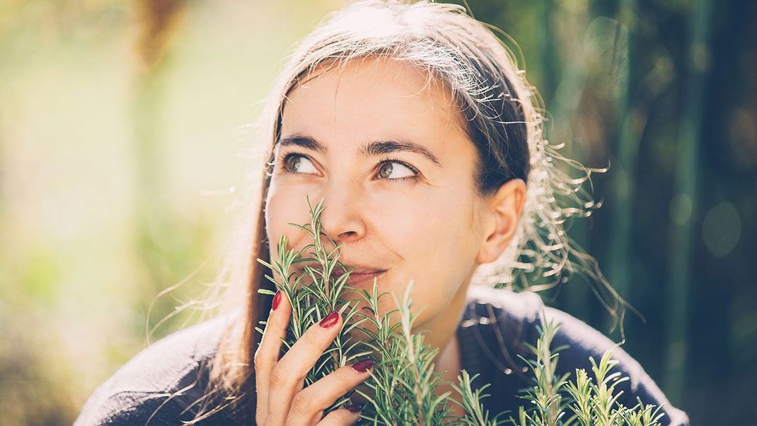 Rosmarin duftet traumhaft und hat eine entgiftende und antiseptische Wirkung – warum Rosmarin nicht nur in eurer Küche fehlen sollte, lest ihr im Beauty-Artikel.