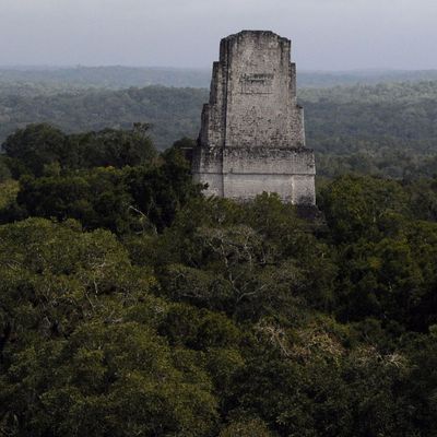 Fast 3.000 Jahre alte Maya-Stätte in Guatemala entdeckt