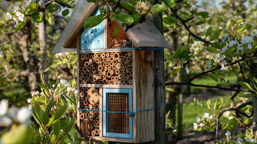 Mit einem Insektenhotel kannst du den Insekten in deinem Garten einen zusätzlichen Nistplatz bieten.
