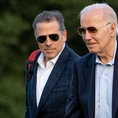 US-Präsident Joe Biden und sein Sohn Hinter Biden