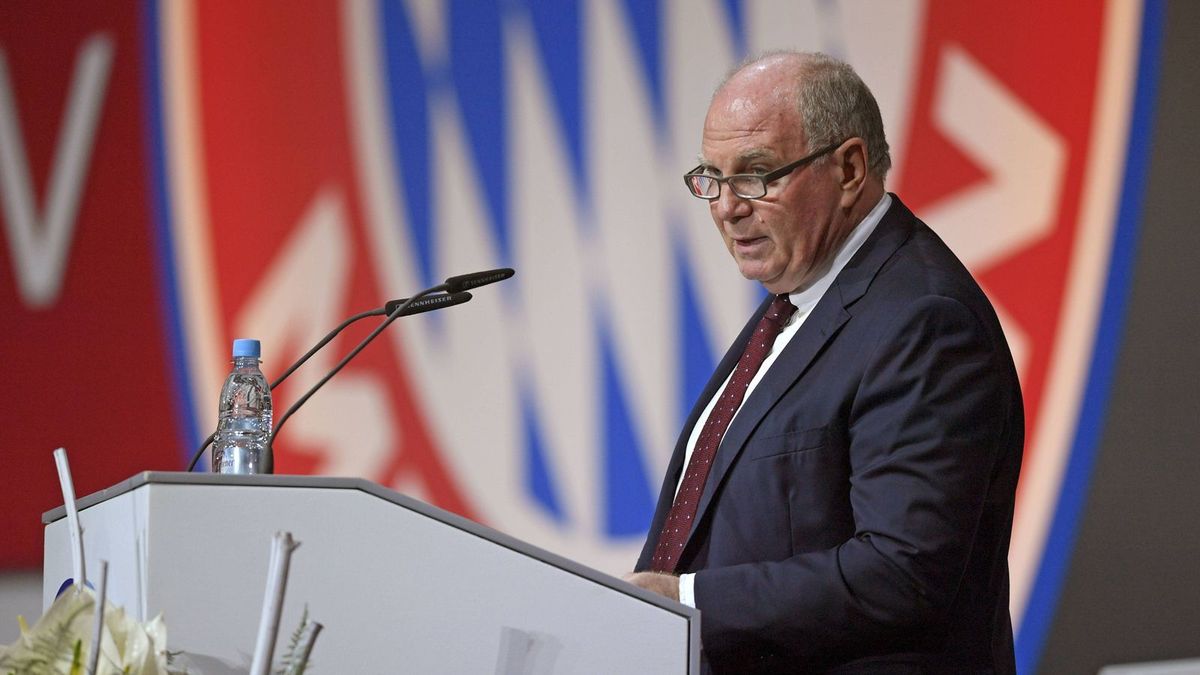 Hoeneß Gewinn