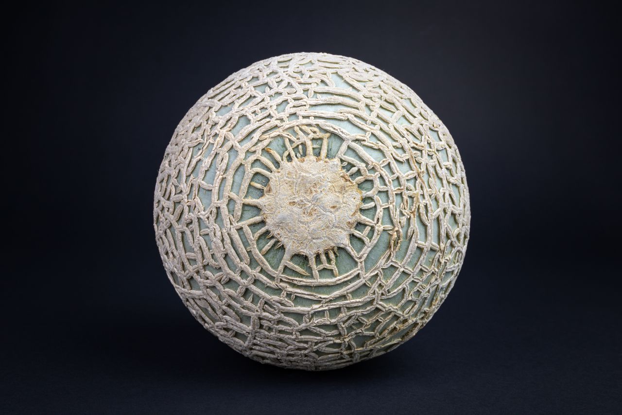 Magisches Melonen-Muster: Die Schale der Luxusmelonen sieht aus wie ein Kunstwerk. Es darf keine Kratzer haben. 