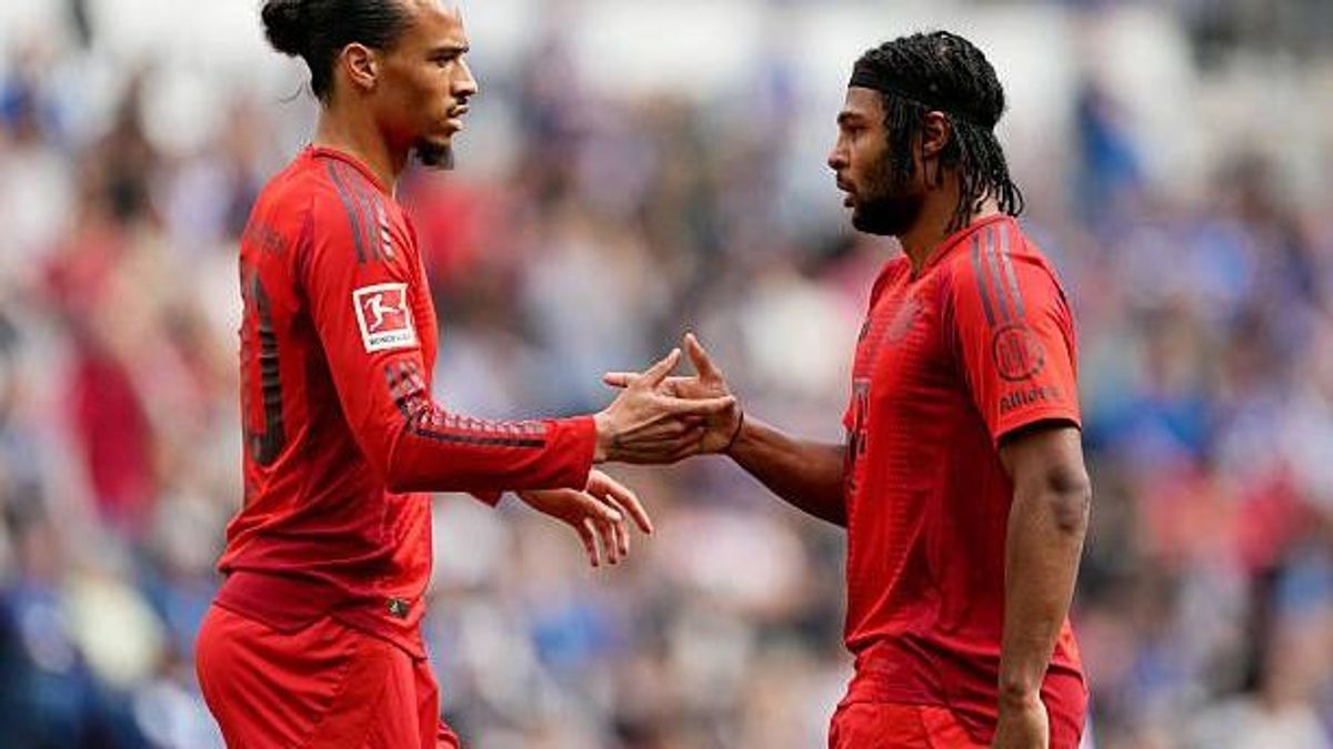 Sane