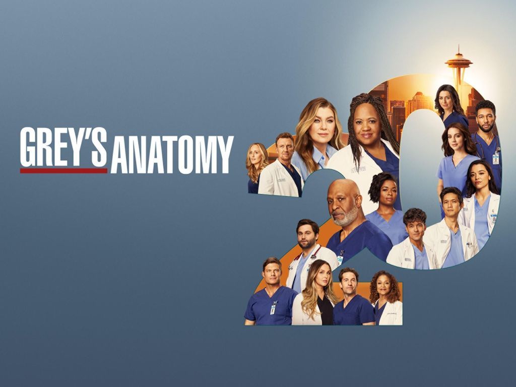 Grey s Anatomy Alle Infos zu Staffel 20 und wo du sie streamen kannst