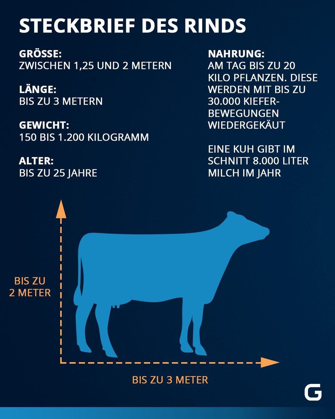 Steckbrief Rinder. Größe, Länge, Gewicht, Alter und Nahrung von Rindern. 