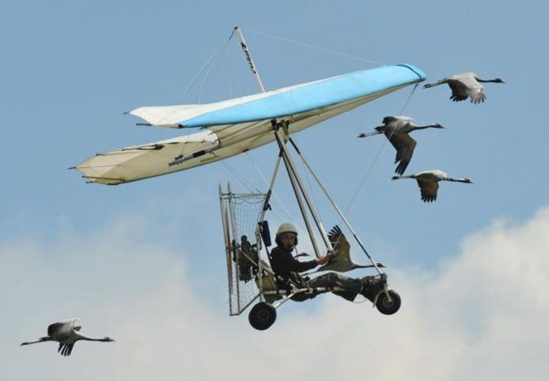 Vogelmann Christian Moullec fliegt mit den Gänsen Richtung Süden.