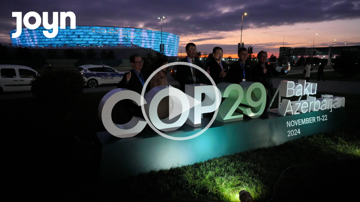 COP29