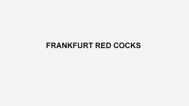 
                <strong>Frankfurt Red Cocks</strong><br>
                In Frankfurt an der Oder spielen die Redcocks. Das Flag-Football-Team des Vereins heißt übrigens Red Wings.
              