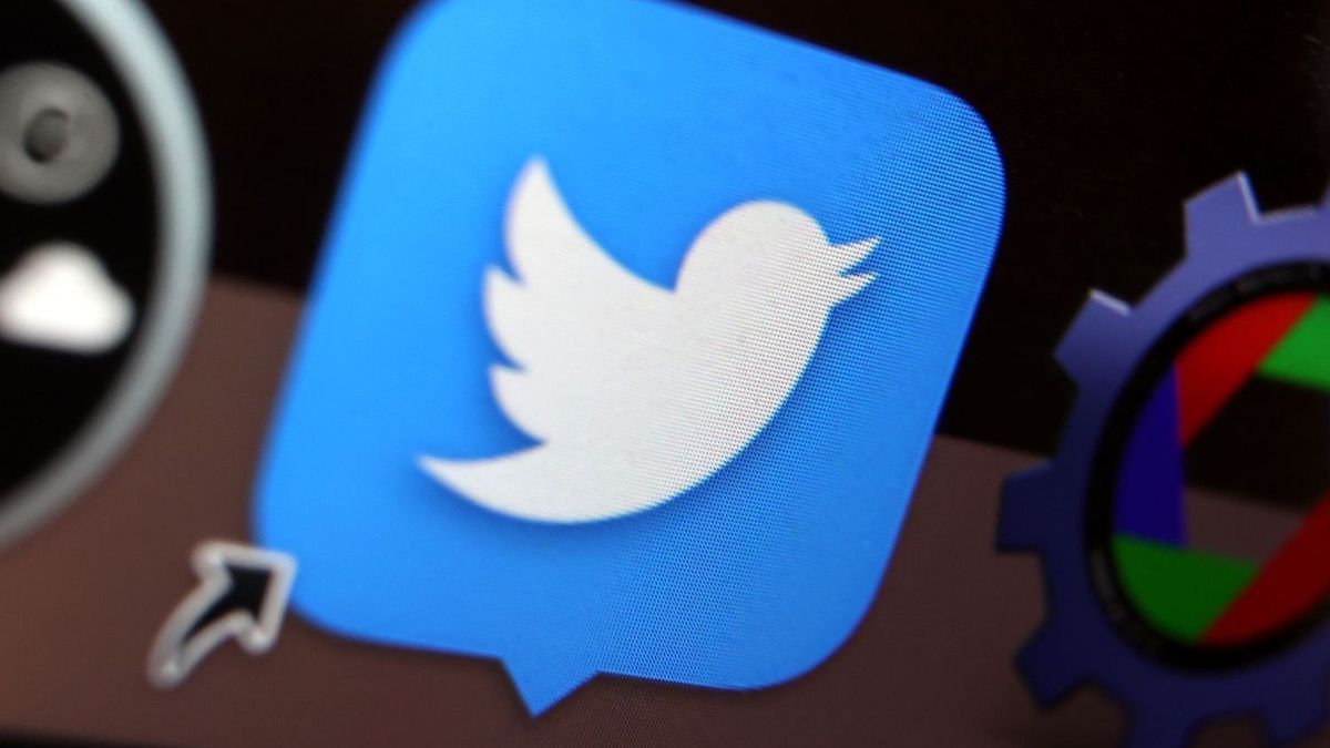 Fake-Accounts: Musks neues Abo-Modell sorgt für Chaos auf Twitter