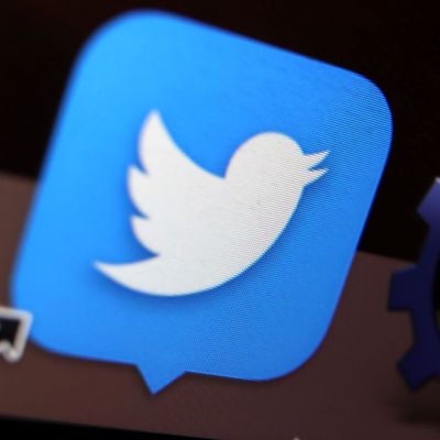 Fake-Accounts: Musks neues Abo-Modell sorgt für Chaos auf Twitter