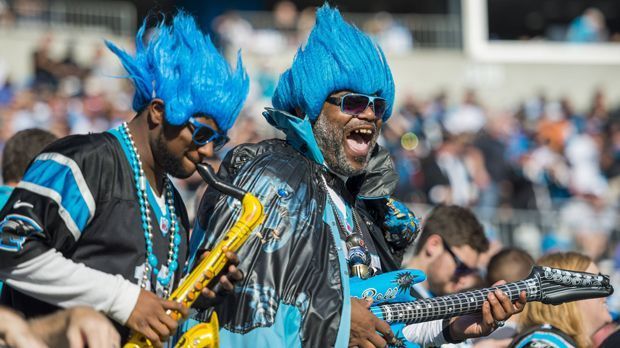 
                <strong>Carolina Panthers</strong><br>
                Diese Jungs aus Carolina sorgen im Notfall höchstpersönlich für gute Stimmung im Stadion.
              