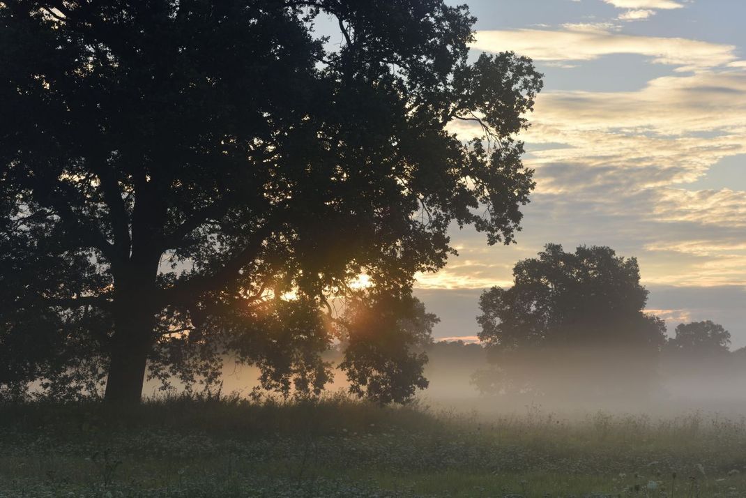 Malerisch und ein Schönwetter-Bote: durchlässiger Morgennebel.