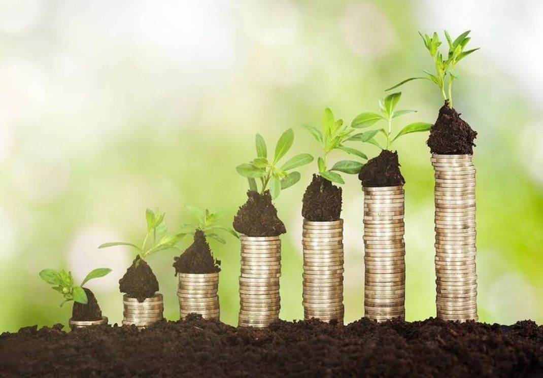 Nachhaltigkeit: Was hält junge Menschen von „grünen“ Investitionen ab?