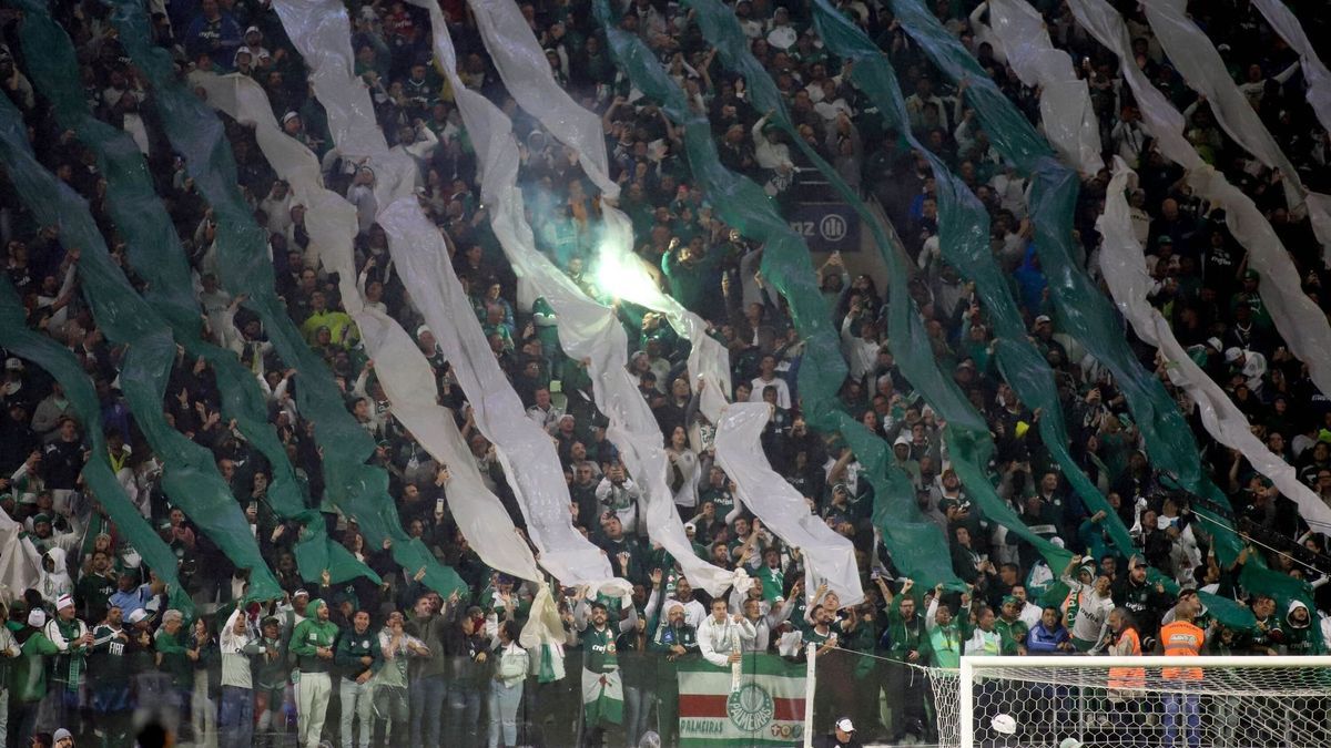 Fans von Palmeiras in Brasilien