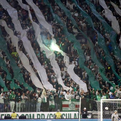 Fans von Palmeiras in Brasilien